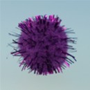 10 mm - Viola