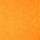 Burnt Orange