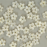 6 mm - Margherita bianca