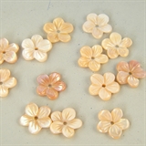 8mm - Margherita rosa