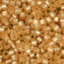 DB0621 - Butterscotch TSL S-MA (A,B,C)