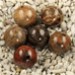 Imp - Agata fossile 10mm Imp - Agata fossile 10mm