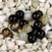 FM - Agata nera sfera 4mm FM - Agata nera sfera 4mm