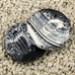 Imp - Agata Ring cerchio 40mm Imp - Agata Ring cerchio 40mm