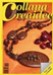 Imp - Collana Creaidee n.14 ( italiano ) Imp - Collana Creaidee n.14 ( italiano )