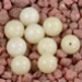 FM - Corallo bianco sfera 5/6mm