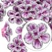 FM - Fiori polyclay 15x6mm FM - Fiori polyclay 15x6mm