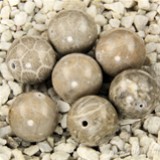 FM Agata fossile sfera 12mm
