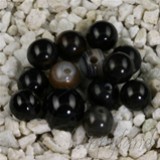 FM Agata nera sfera 5mm