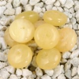 FM Aragonite rondella 10mm