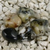 FM Opalite muschiata cuore 10mm