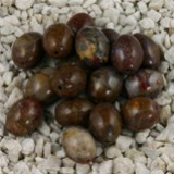 FM Pietersite ovale 10x8mm