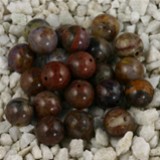 FM Pietersite sfera 6mm