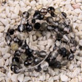 FM Quarzo rutilato sfera 4mm