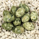 FM Riolite ovale 12x8mm