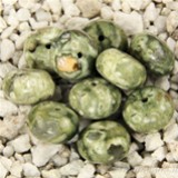 FM Riolite rondella 10mm