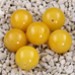 FM - Giada gialla sfera 14mm FM - Giada gialla sfera 14mm