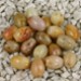 FM - Giada Golden ovale 6x8mm FM - Giada Golden ovale 6x8mm