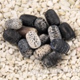 Imp Agata Ring cilindro 12mm
