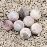 Imp Agata Ring Multicolor sfera 12mm