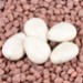 Imp - Magnesite goccia 12mm Imp - Magnesite goccia 12mm