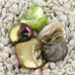 Imp - Nugget madreperla Imp - Nugget madreperla