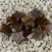 FM - Pietersite stella 10mm FM - Pietersite stella 10mm