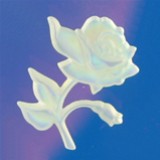 Swarovski® Pendenti speciali